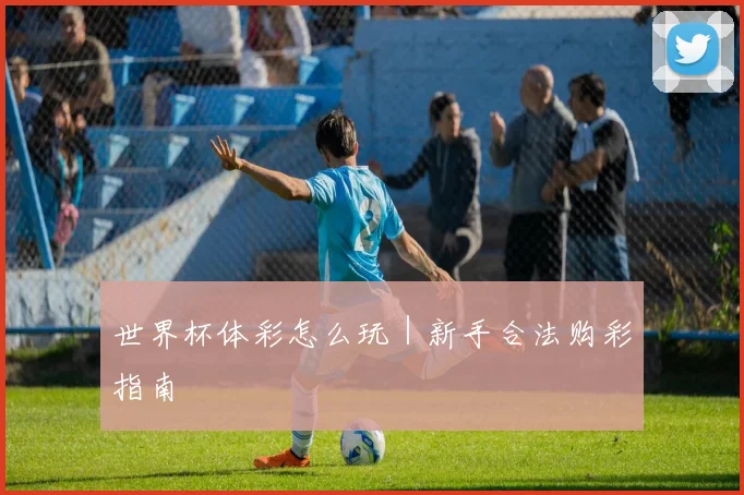 世界杯体彩怎么玩|新手合法购彩指南