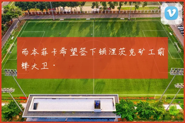 而本菲卡希望签下顿涅茨克矿工前锋大卫·