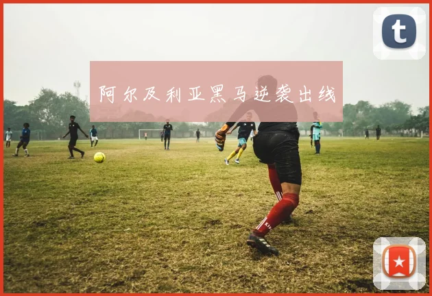 阿尔及利亚黑马逆袭出线