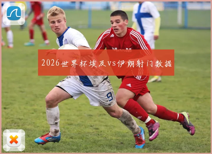 2026世界杯埃及vs伊朗射门数据