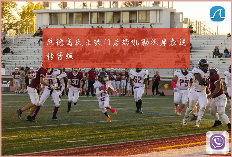 厄德高反击破门后怒吼勒沃库森逆转晋级