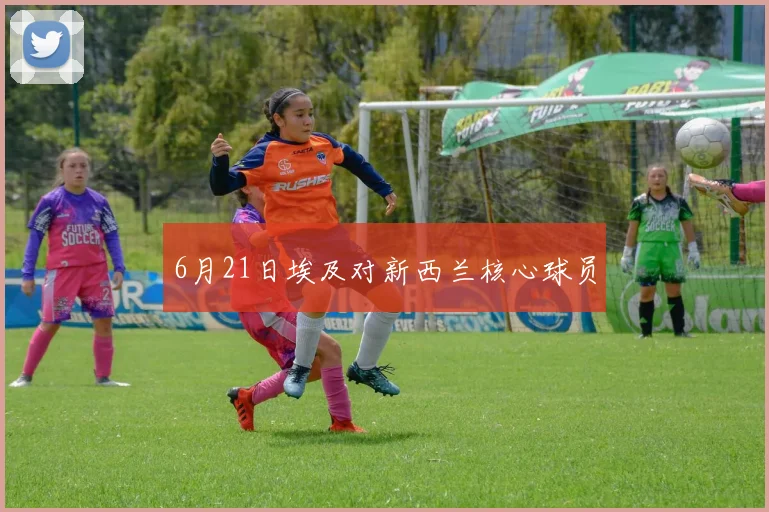 6月21日埃及对新西兰核心球员