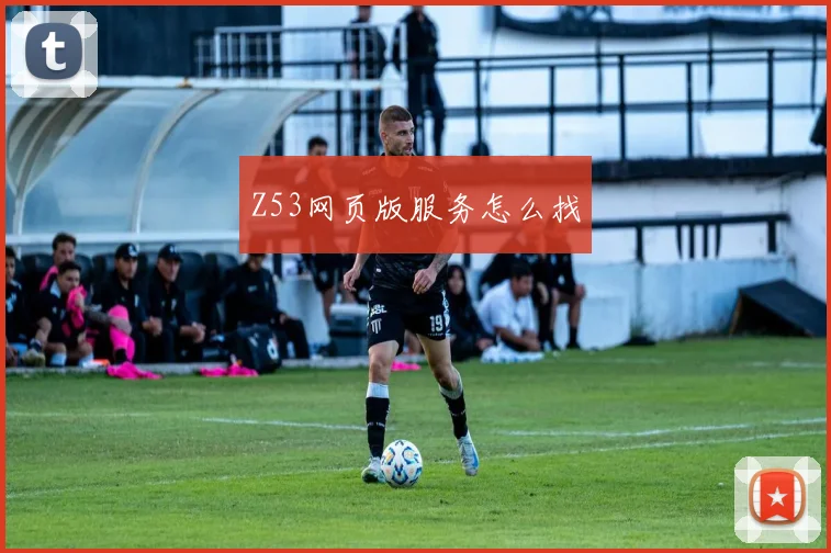 Z53网页版服务怎么找