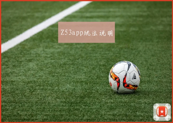 Z53app玩法说明