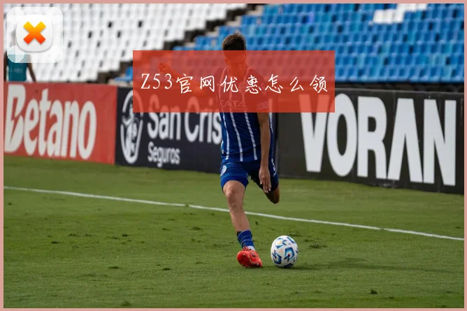 Z53官网优惠怎么领