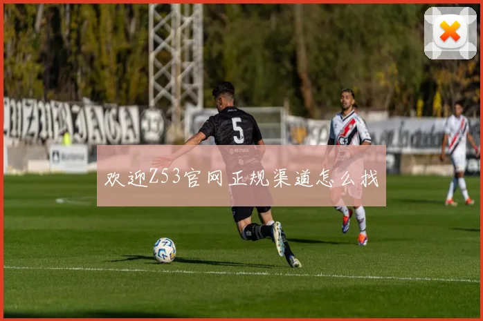 欢迎Z53官网正规渠道怎么找